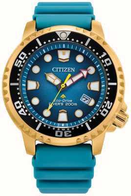 Citizen Herren-Promaster Diver Eco-Drive, blaugrünes Zifferblatt, blaues PU-Armband BN0162-02X