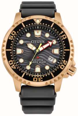 Citizen Herren-Armbanduhr Promaster Diver Eco-Drive mit grauem Zifferblatt und grauem PU-Armband BN0163-00H
